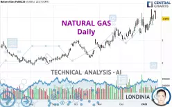 NATURAL GAS - Diario