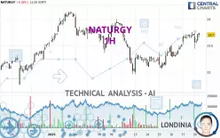 NATURGY - 1H