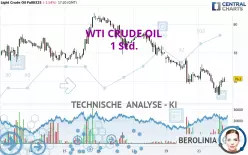 WTI CRUDE OIL - 1 Std.