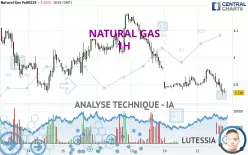 NATURAL GAS - 1 Std.