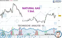 NATURAL GAS - 1 Std.