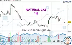 NATURAL GAS - 1 Std.