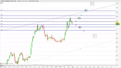 SYNDAX PHARMACEUTICALS INC. - 1H