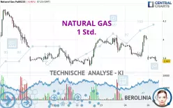 NATURAL GAS - 1 uur