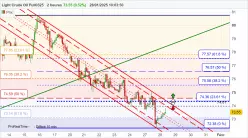 WTI CRUDE OIL - 2H