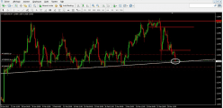 USD/CAD - 4 Std.