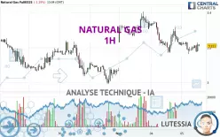 NATURAL GAS - 1 uur