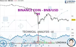 BINANCE COIN - BNB/USD - 1H