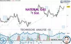 NATURAL GAS - 1 Std.