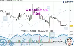 WTI CRUDE OIL - 1 Std.