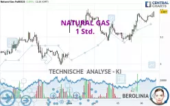 NATURAL GAS - 1 Std.