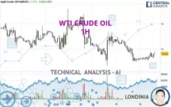 WTI CRUDE OIL - 1 Std.