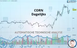 CORN - Dagelijks