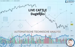 LIVE CATTLE - Dagelijks