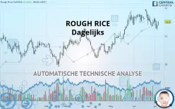 ROUGH RICE - Dagelijks