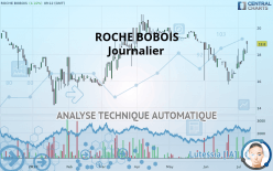 ROCHE BOBOIS - Journalier