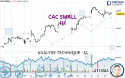 CAC SMALL - 1H