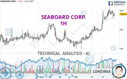 SEABOARD CORP. - 1 uur