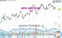 NEW GOLD INC. - 1H