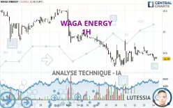 WAGA ENERGY - 1H