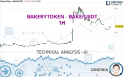 BAKERYTOKEN - BAKE/USDT - 1H