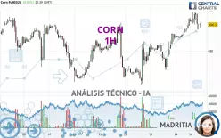 CORN - 1H