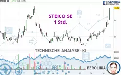 STEICO SE - 1 Std.