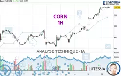 CORN - 1H