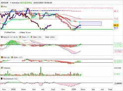ARGAN - Semanal