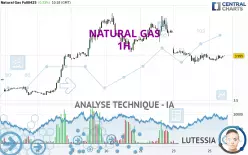 NATURAL GAS - 1 Std.