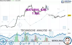 NATURAL GAS - 1 Std.