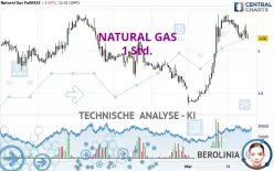 NATURAL GAS - 1 uur