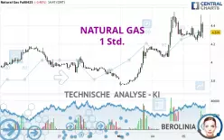 NATURAL GAS - 1 Std.