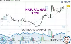 NATURAL GAS - 1 Std.