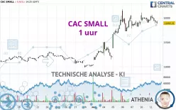 CAC SMALL - 1 uur