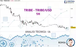 TRIBE - TRIBE/USD - 1H