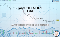 SALZGITTER AG O.N. - 1 Std.