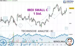 IBEX SMALL C - 1H