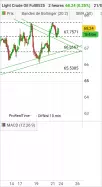 WTI CRUDE OIL - 2 Std.