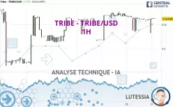 TRIBE - TRIBE/USD - 1H