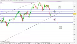 SMI20 INDEX - Dagelijks