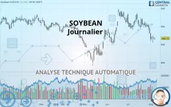 SOYBEAN - Journalier