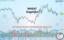 WHEAT - Dagelijks