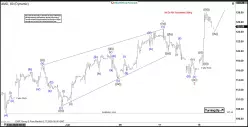 ADVANCED MICRO DEVICES INC. - 1H