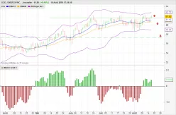 XCEL ENERGY INC. - Daily