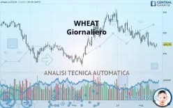 WHEAT - Giornaliero