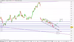 ILLUMINA INC. - Diario