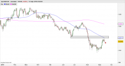 NZD/CHF - Täglich