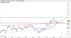 USD/PLN - Diario