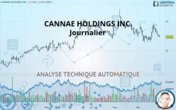 CANNAE HOLDINGS INC. - Journalier